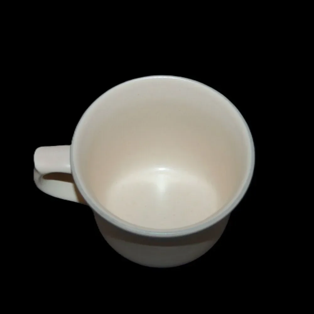 Vintage PFALTZGRAFF USA REMEMBRANCE Flowers Coffee Tea Mug Cup 3.25